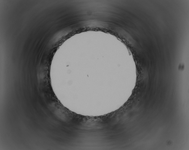 X0000100840824200807180918