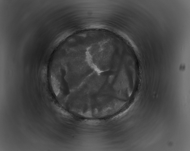 X0000100840825200807180918