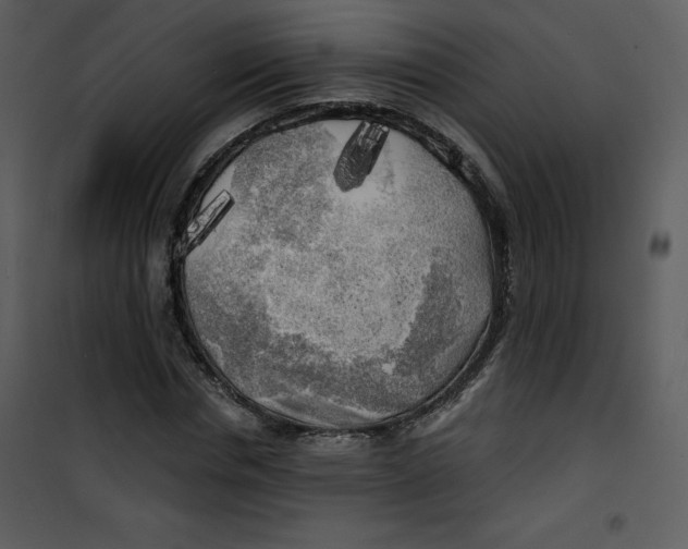 X0000100840826200807180918