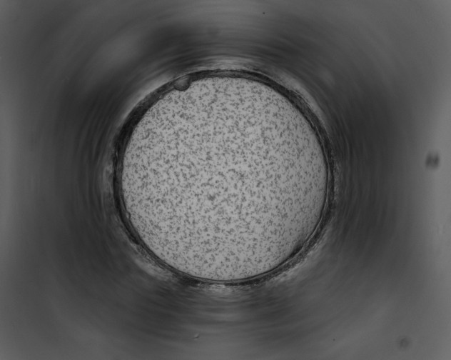 X0000100840827200807180918