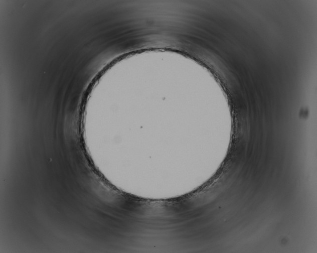 X0000100840828200807180918