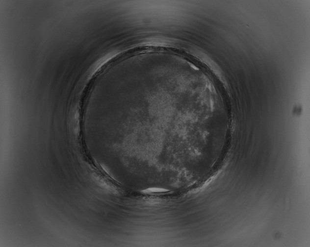 X0000100840829200807180918