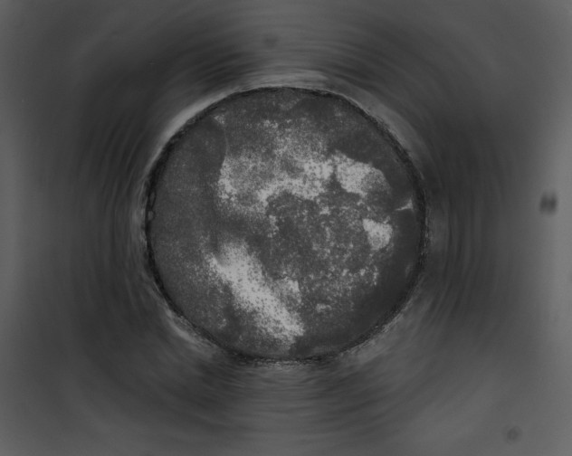 X0000100840830200807180918