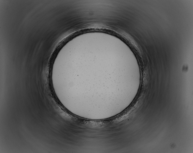 X0000100840831200807180918