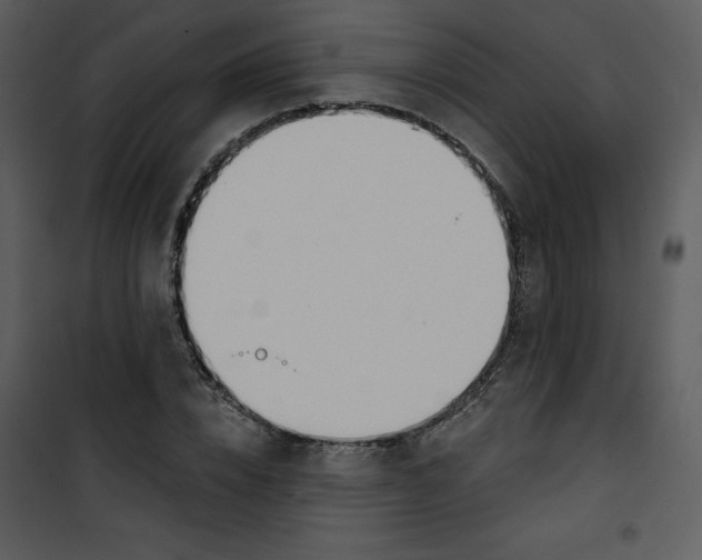 X0000100840832200807180918