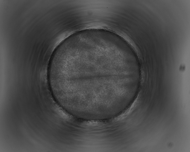 X0000100840834200807180918