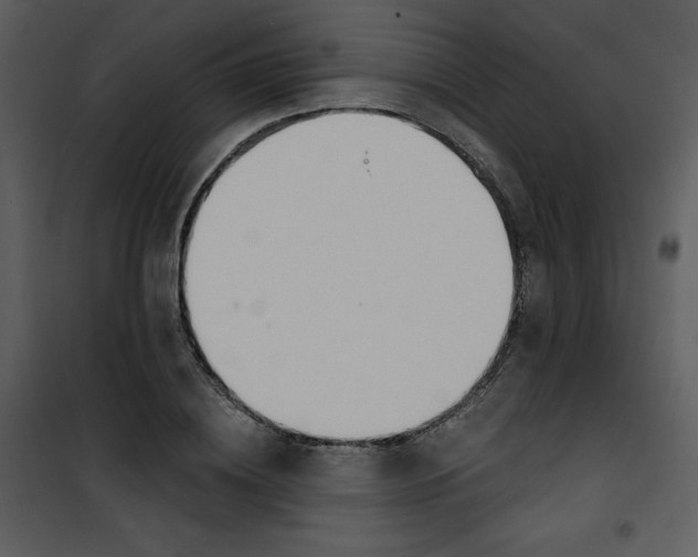 X0000100840836200807180918