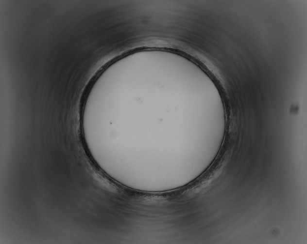 X0000100840837200807180918