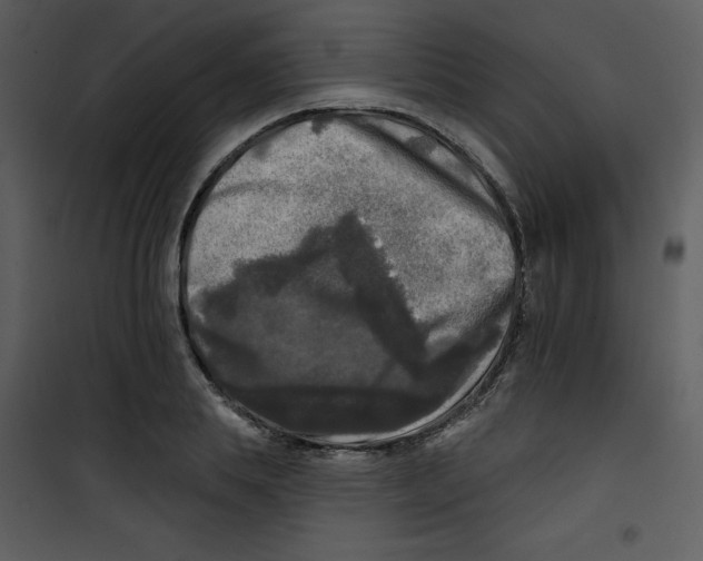 X0000100840839200807180918