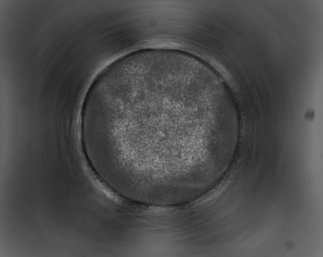 X0000100840840200807180918