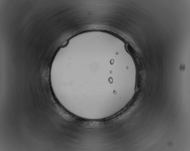 X0000100840841200807180918