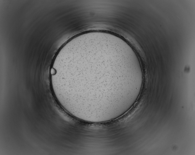 X0000100840842200807180918