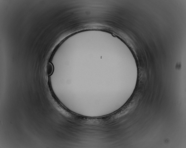 X0000100840843200807180918