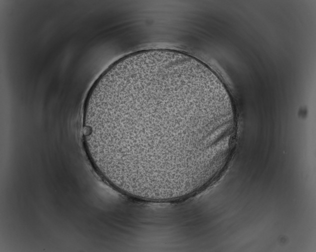 X0000100840844200807180918