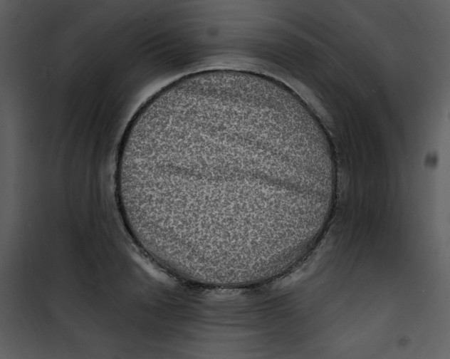 X0000100840846200807180918