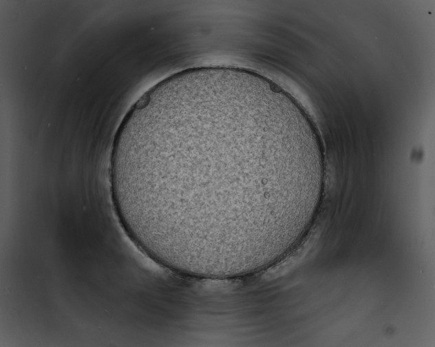 X0000100840847200807180918