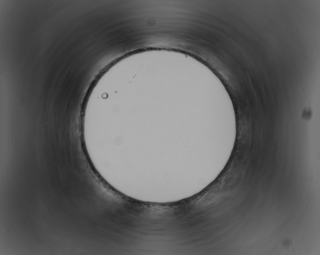 X0000100840848200807180918