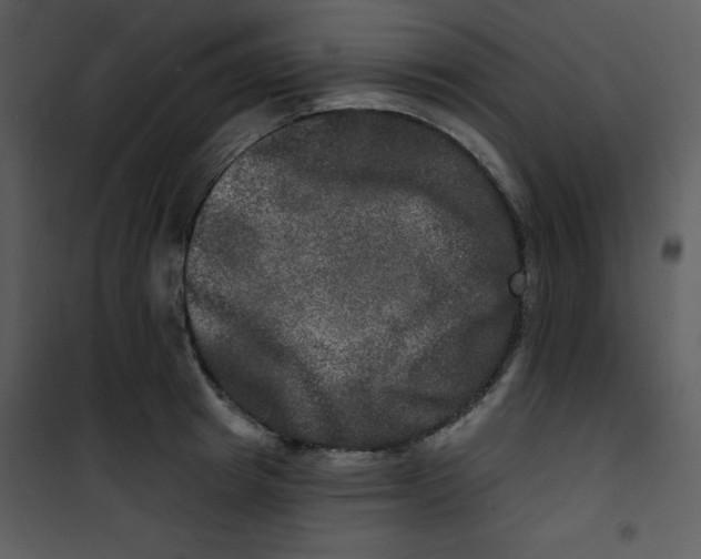 X0000100840849200807180918