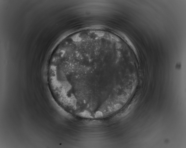 X0000100840851200807180918