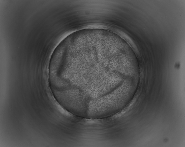 X0000100840852200807180918