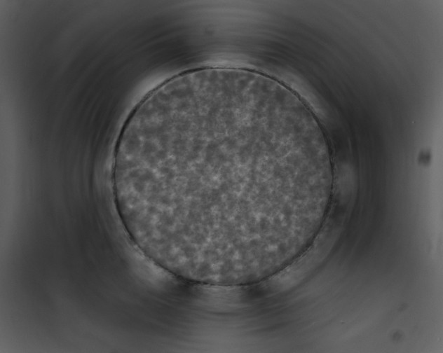 X0000100840856200807180918