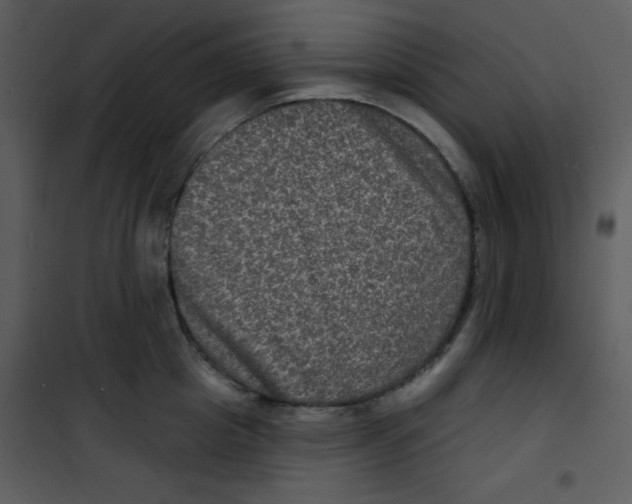 X0000100840857200807180918