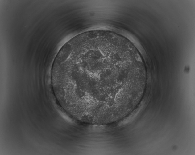 X0000100840858200807180918