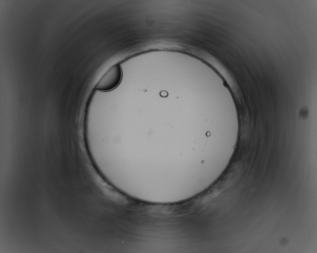 X0000100840861200807180919