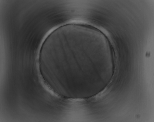 X0000100840864200807180919