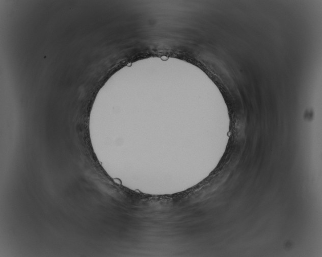 X0000100840865200807180918