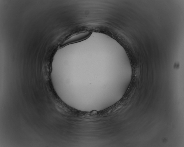 X0000100840868200807180918