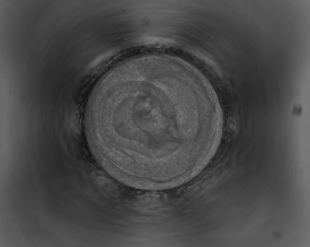 X0000100840869200807180918