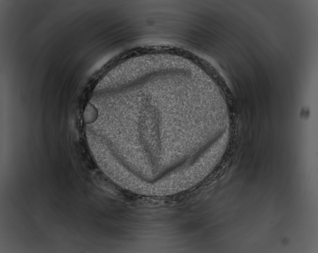 X0000100840871200807180918