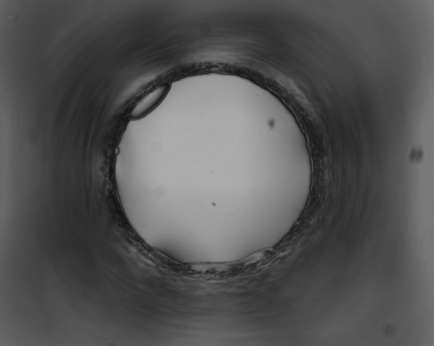 X0000100840872200807180918