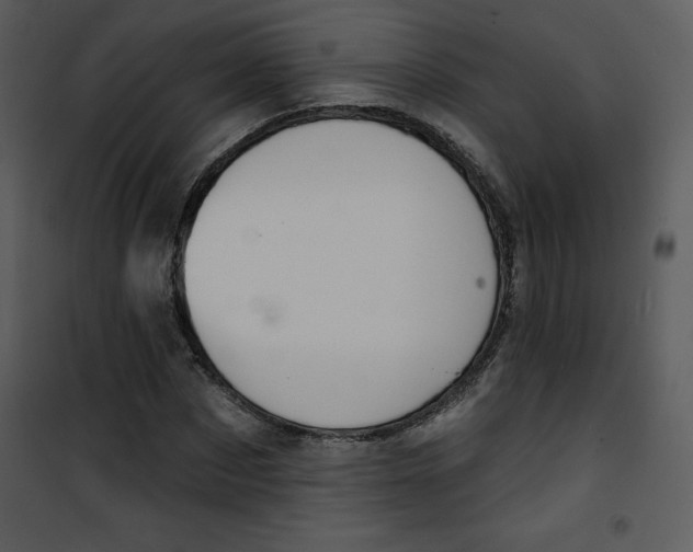 X0000100840873200807180918