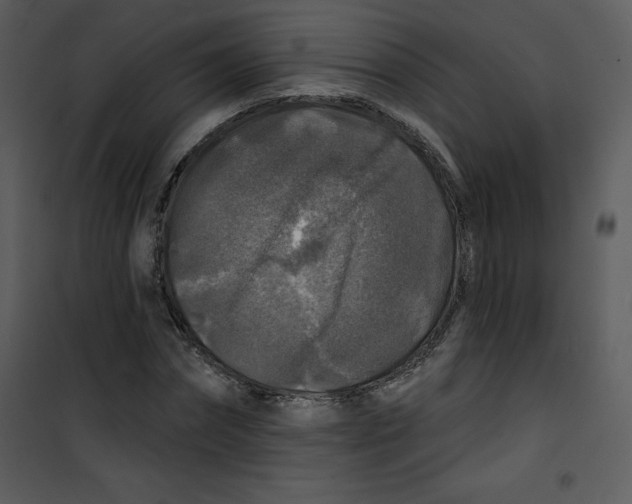 X0000100840874200807180918