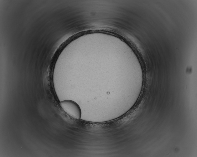 X0000100840875200807180918