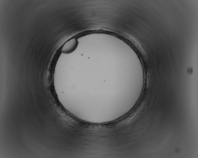 X0000100840876200807180918