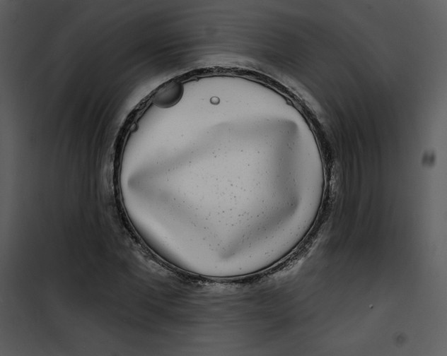 X0000100840877200807180918