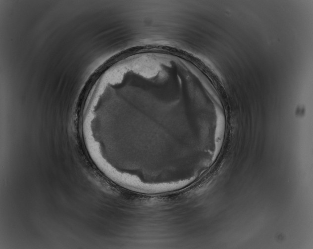 X0000100840879200807180918