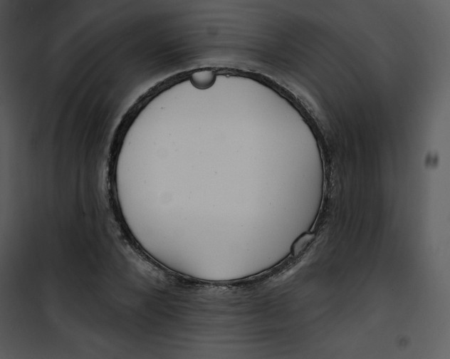 X0000100840880200807180918