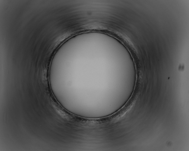 X0000100840881200807180918