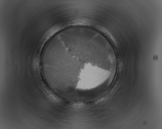 X0000100840882200807180918