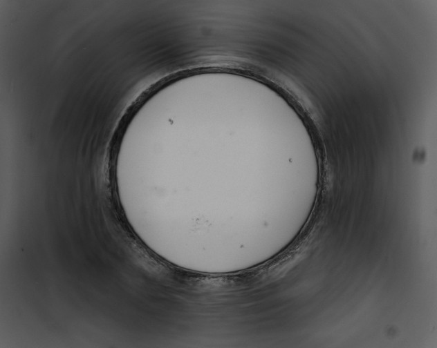 X0000100840883200807180918