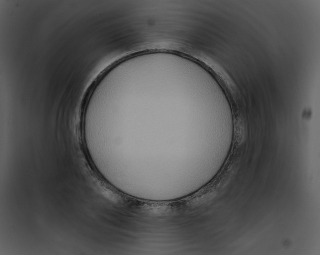 X0000100840886200807180918