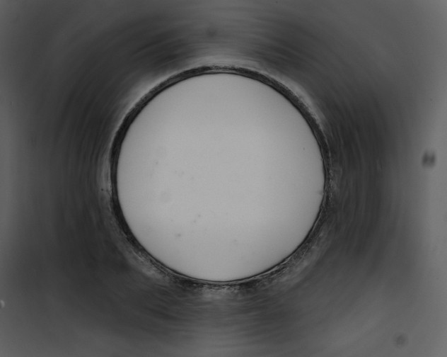 X0000100840887200807180918