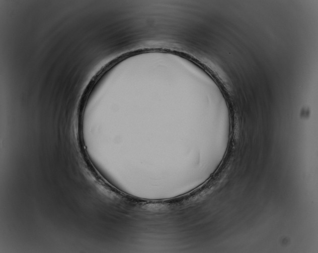 X0000100840888200807180918