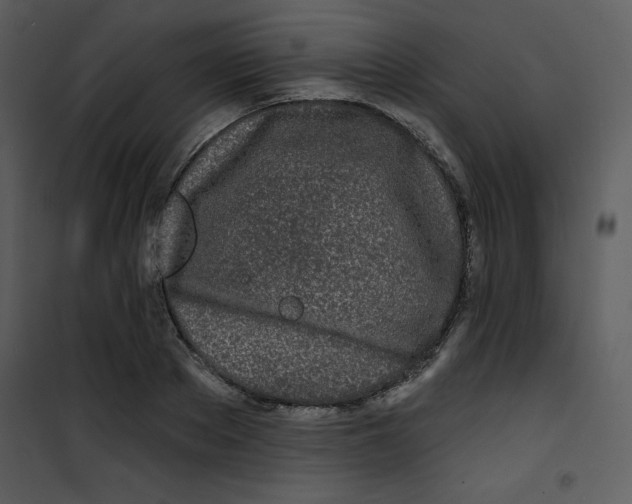 X0000100840889200807180918