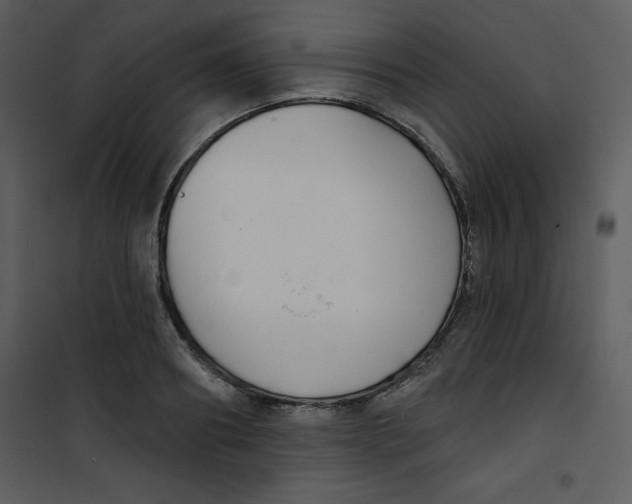 X0000100840890200807180918