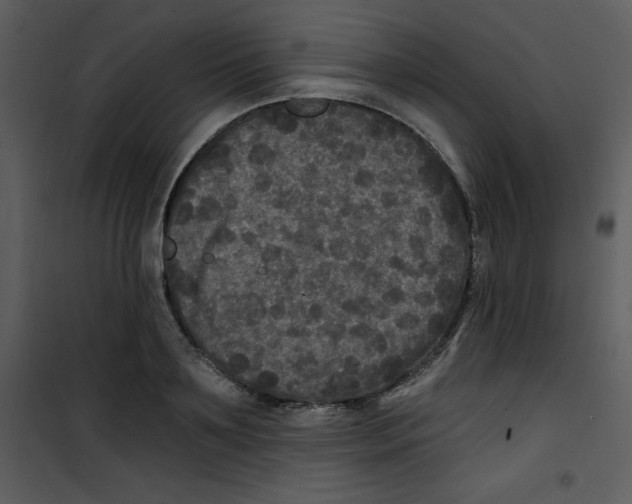 X0000100840891200807180918